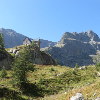 Migliorero 2