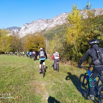 Foliage in valle Stura 17-10-21
