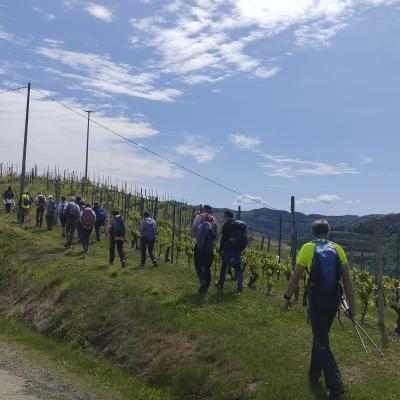 nelle Langhe del Moscato e delle Nocciole 21-4-24